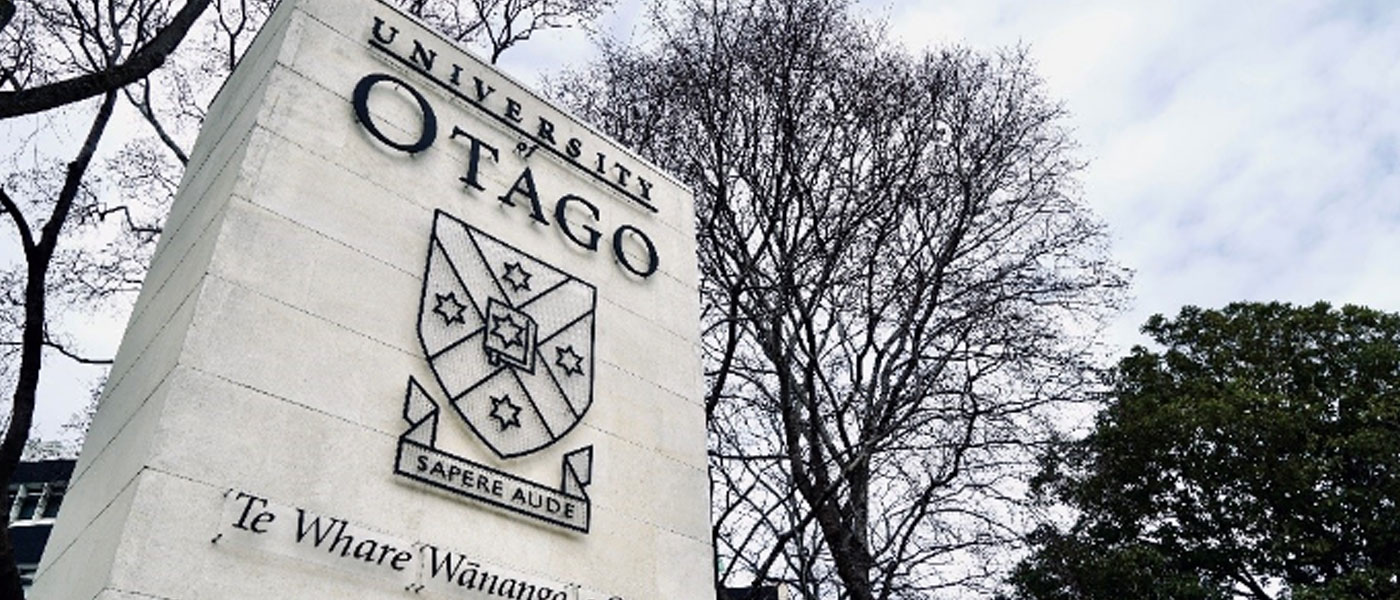 YORK® | City Header Medium